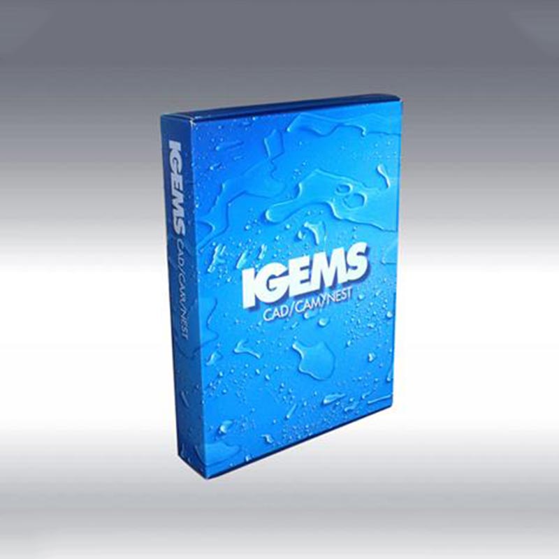 IGEMS